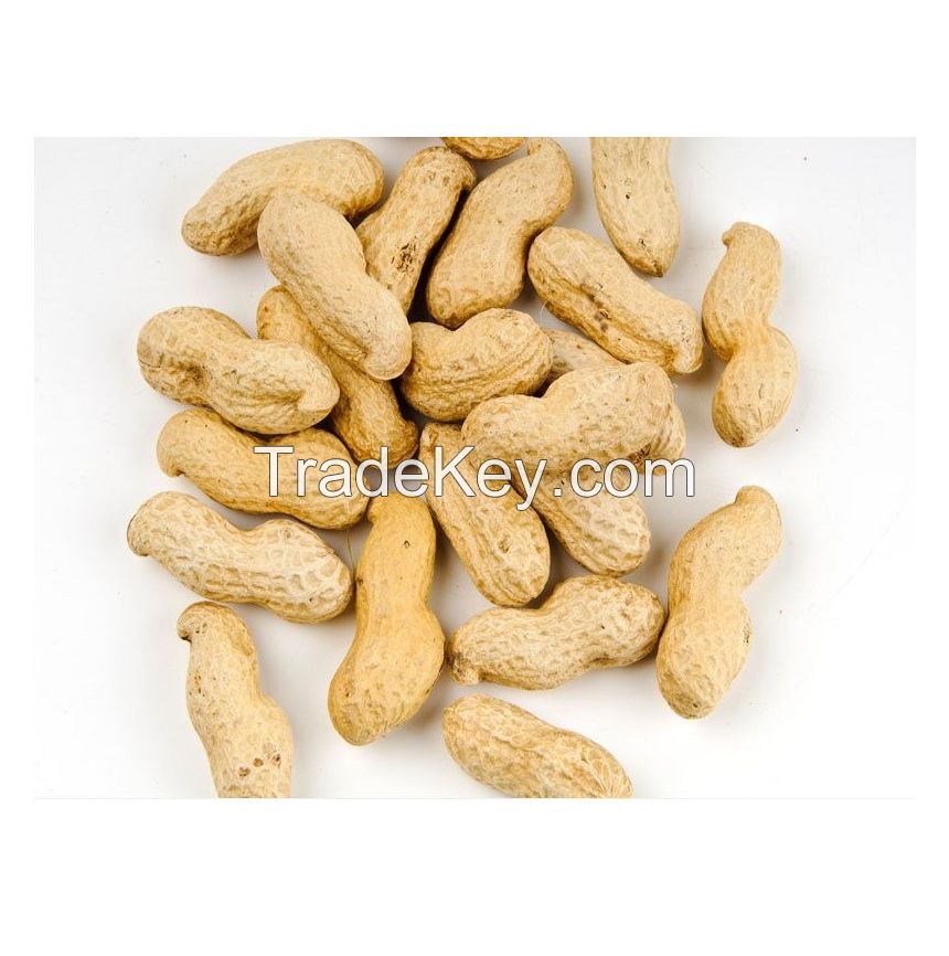 Best Quality Groundnuts Kernels High Protein Raw Peanuts For Sale