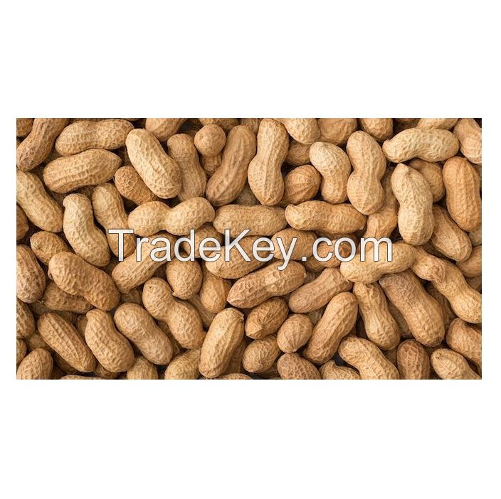 Best Quality Groundnuts Kernels High Protein Raw Peanuts For Sale