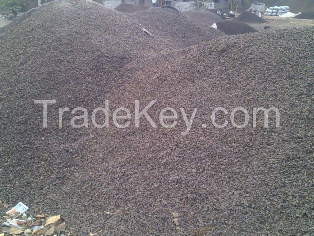 Palm Kernel shells