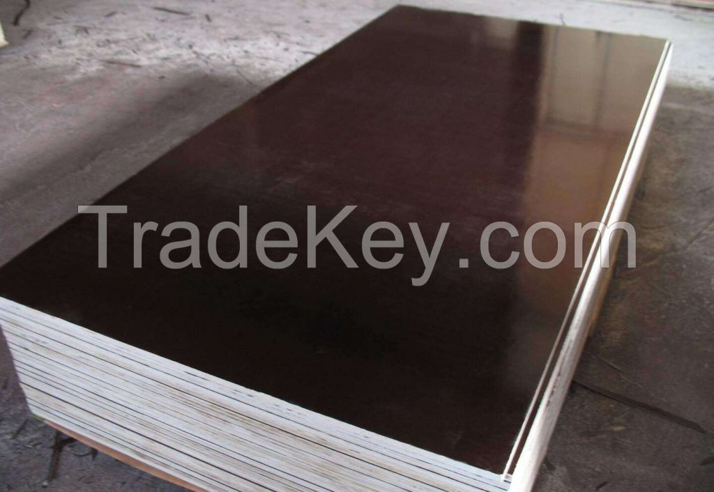 Film Faced Plywood (Black Film)