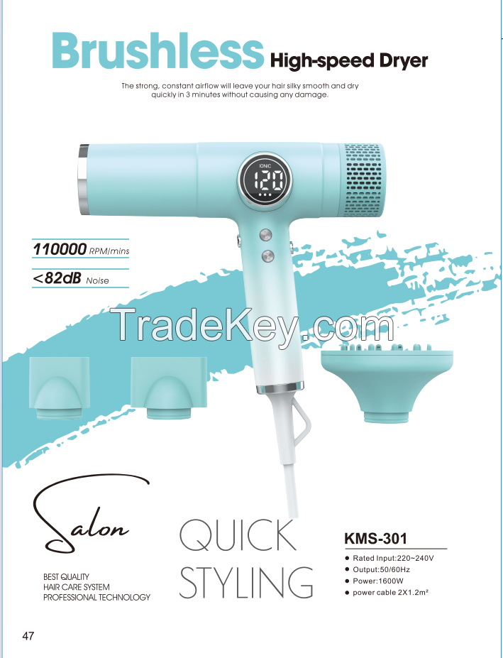 High-Speed Brushless Motor Hair Dryer - 110,000 RPM /mins, Negative Ion Hair Care