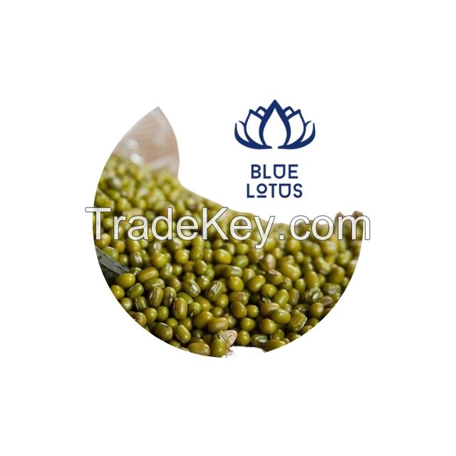 Vietnamese Mung Bean