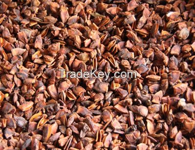 Broken Star Aniseed Best Rate From Vietnam 