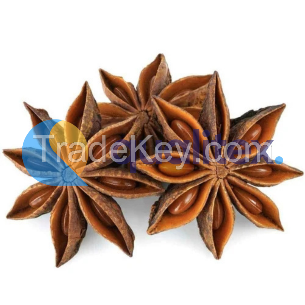 Autumn Star Aniseed From Vietnam Supplier 