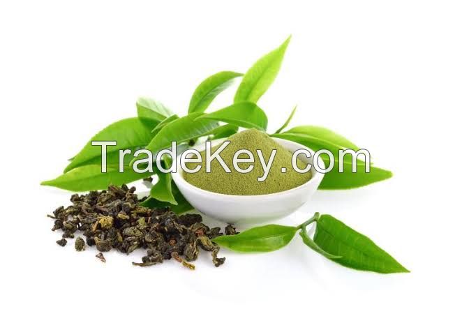 green tea extract