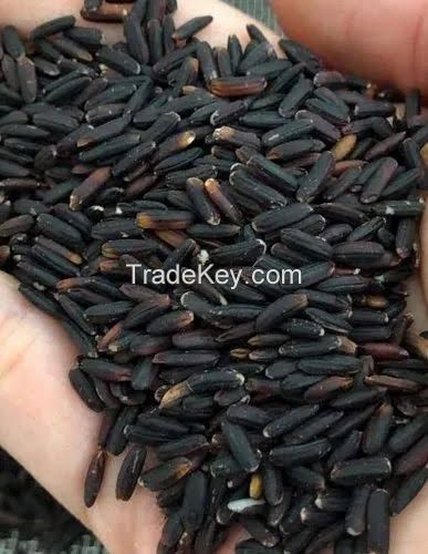 Organic black rice 