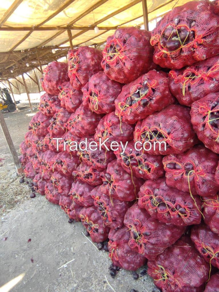 Potatoes, red onions, garlic, and citrus fruits.