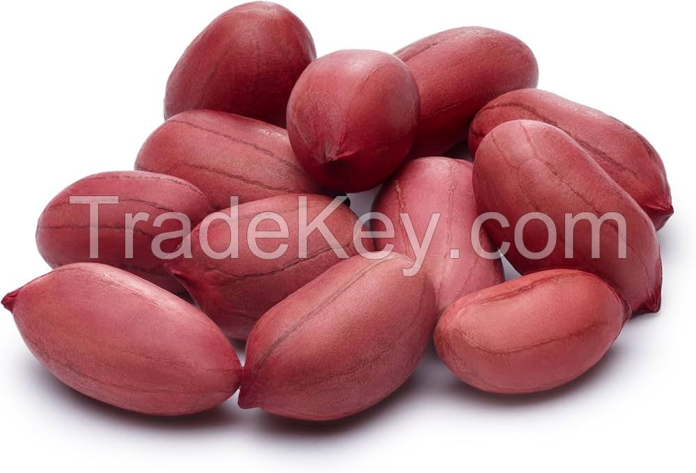 HIGH-PROTEIN NATURAL PEANUTS AVAILABLE FOR SALE