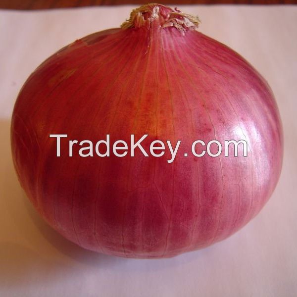 FRESH WHITE ONION