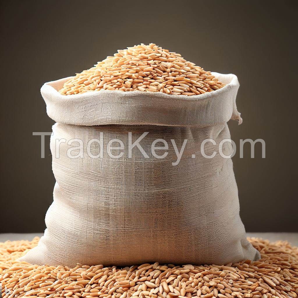 WHEAT GRAINS