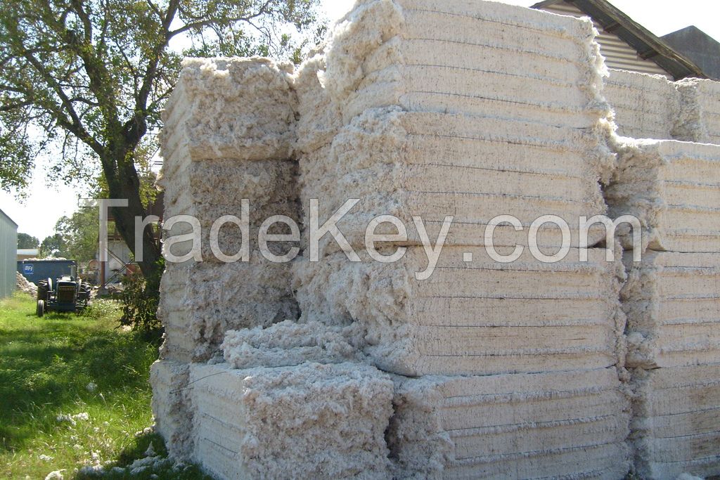 RAW COTTON BALE