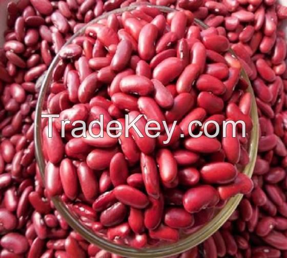 Black Kidney Beans/White Kidney Beans/Red Kidney Beans/Speckled Kidney Beans/Haricot Beans