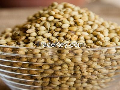 Corn Gluten Meal,Coriander Seeds.Conscious Food Pigeon Pea,CHIA SEEDS,Cumin Seeds,Fennel Seeds,Fenugreek Seeds,flax seeds,Fissh meal,Green Cardamom