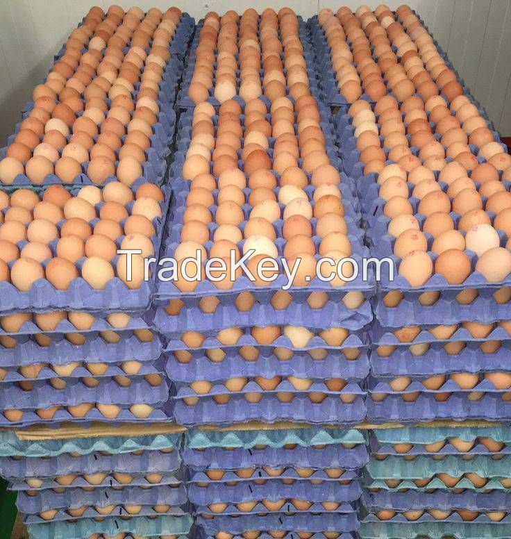 ANIMAL FEED,SOYBEANS MEAL,ALFALFAA HAY,FISH MEAL , FERTILE EGGS , TABLE EGGS ,RICE BRAN , CHICKEN FEED