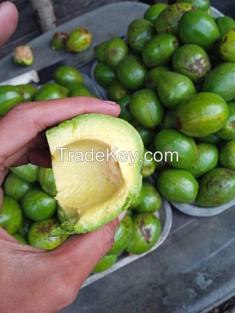 FRESH LIME / FRESH LEMON /FRESH MANGOES / AVOCADOS / FRESH FRUITS 