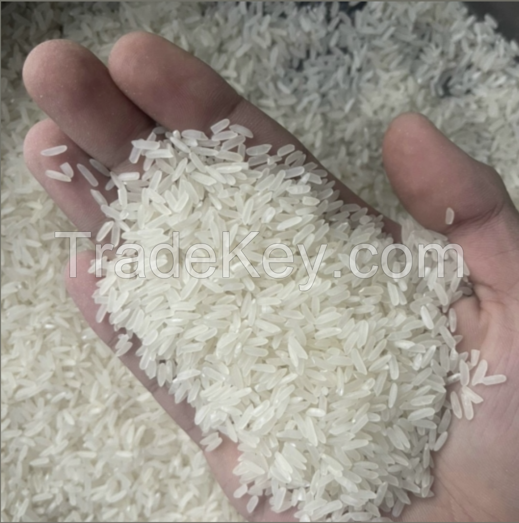 Jasmine RIce