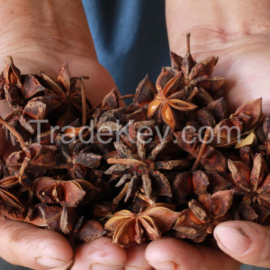 Vietnamese Dried Star Anise