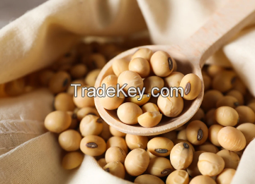 Soybeans