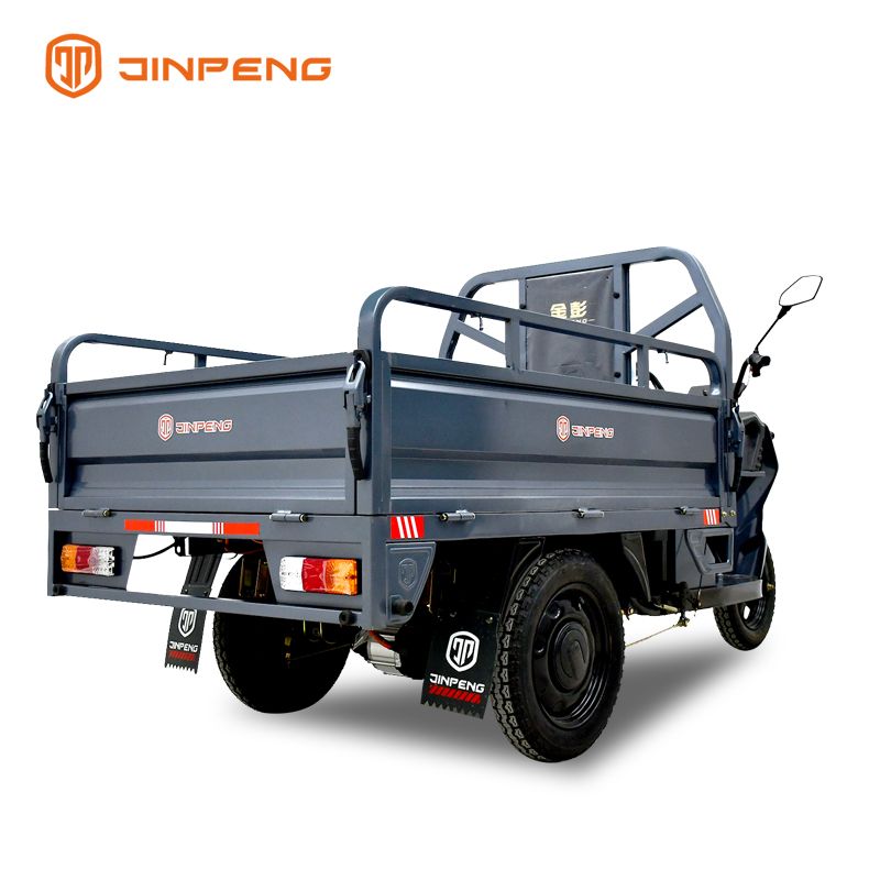 2024 Big capacity quality and quantity assured 3 Wheels 60V 1000w Cargo electric tricycle