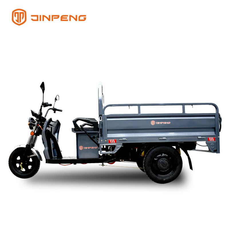 2024 Big capacity quality and quantity assured 3 Wheels 60V 1000w Cargo electric tricycle