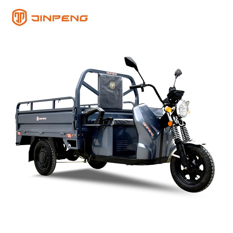 2024 Big capacity quality and quantity assured 3 Wheels 60V 1000w Cargo electric tricycle