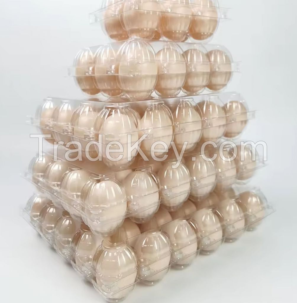 Plastic egg tray