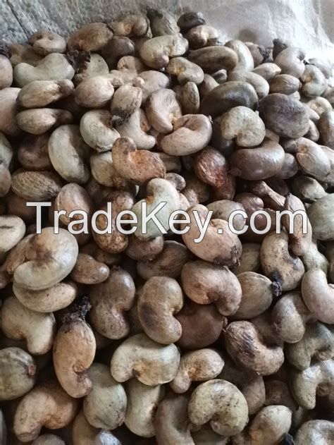 raw cashew nuts