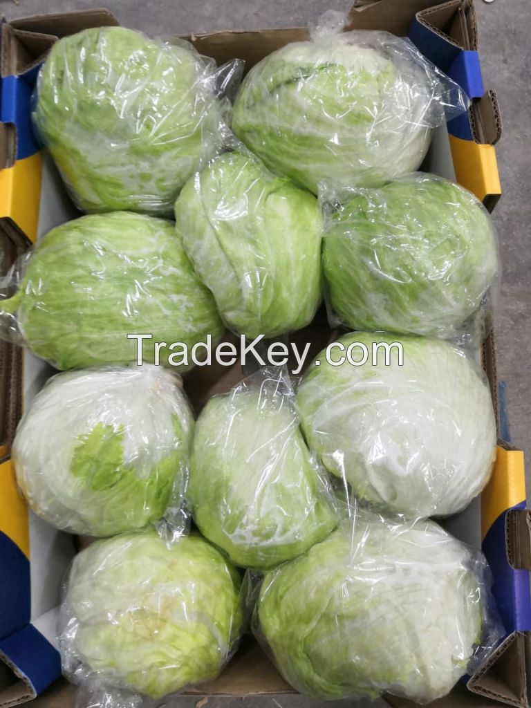 Fresh Cabbages