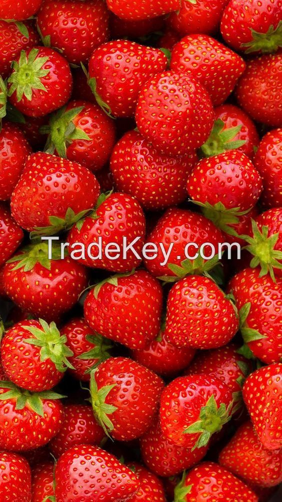 Fresh Egyptian Strawberries