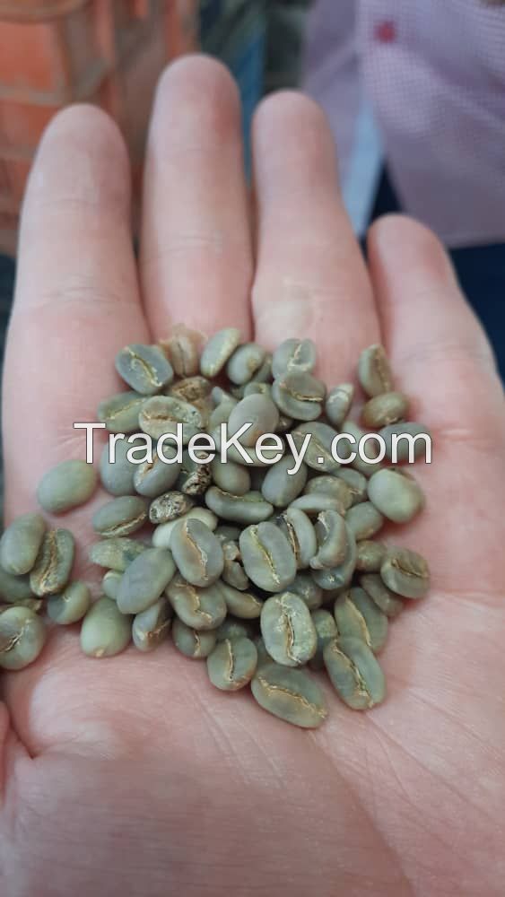 Venezuela Arabica Coffee Beans