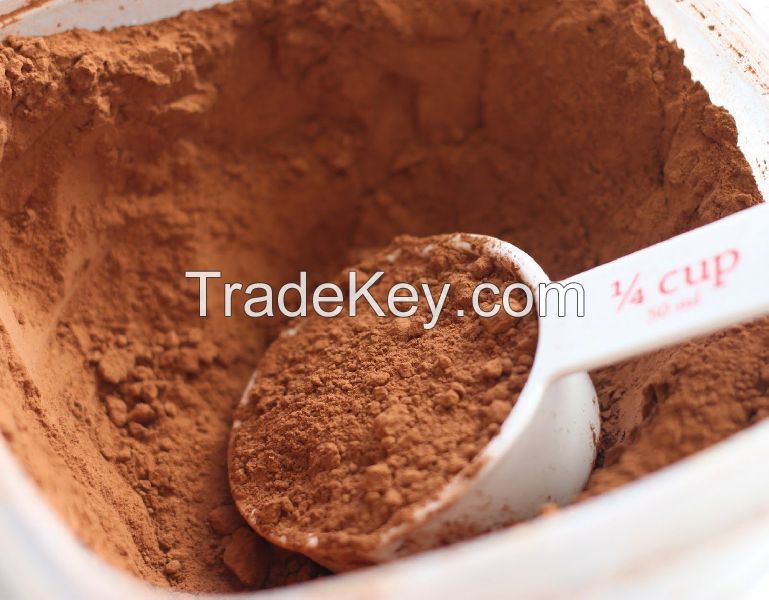 Cocoa Powder