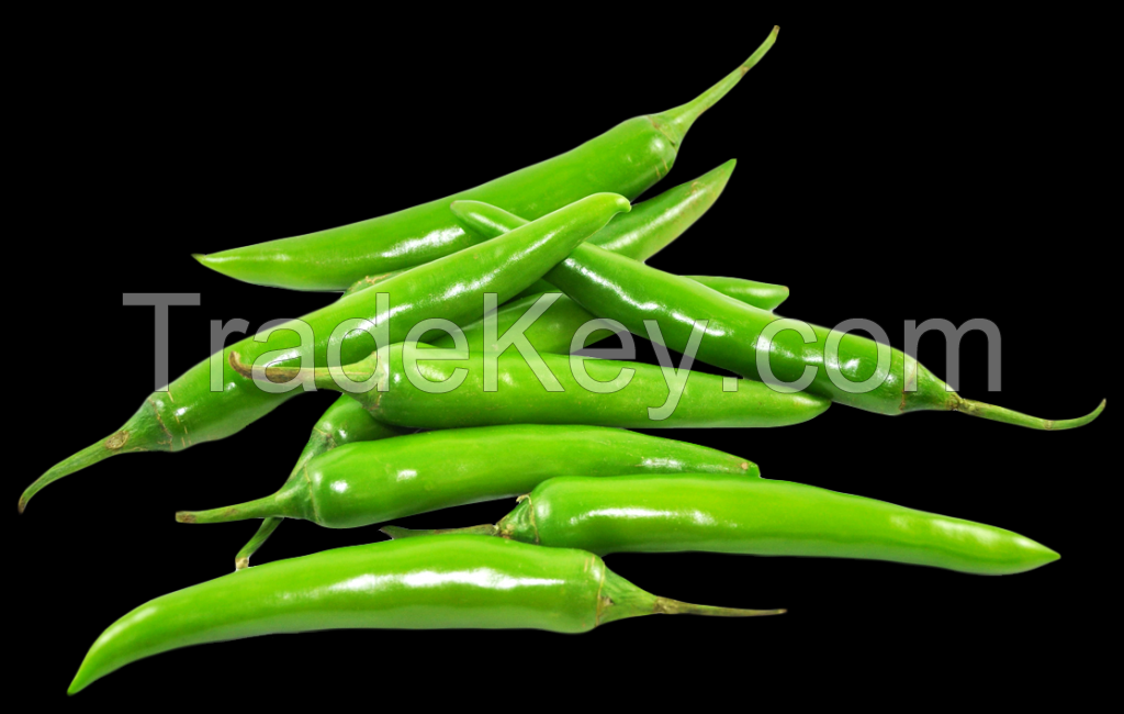 baby corn, drumstick vegetable, okra, and green chili peppers