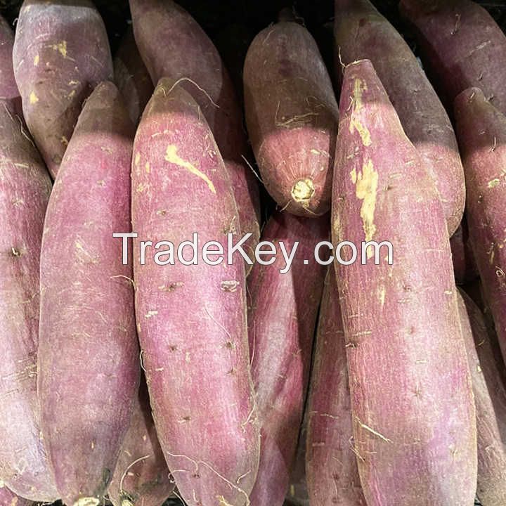 100% Natural Fresh Sweet Potatoes Exported at Cheap Prices