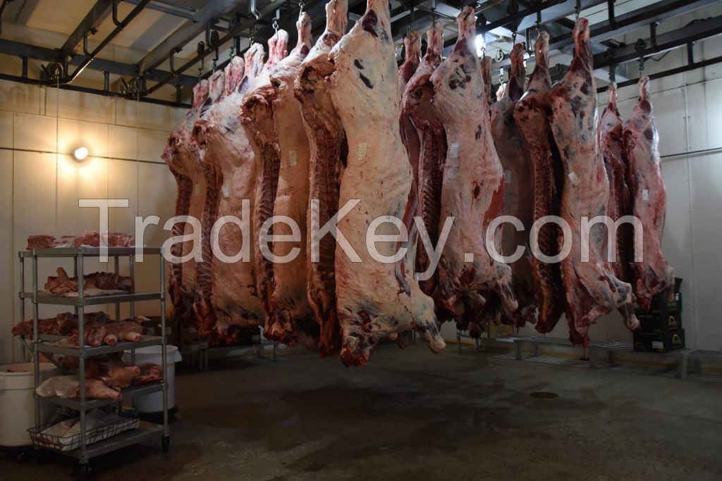 Halal Frozen Whole Lamb/ Sheep/ Mutton Meat For Sale