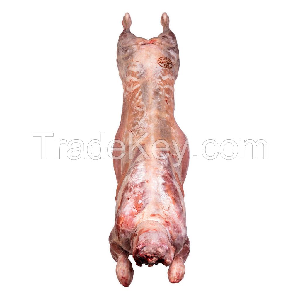 Halal Frozen Whole Lamb/ Sheep/ Mutton Meat For Sale