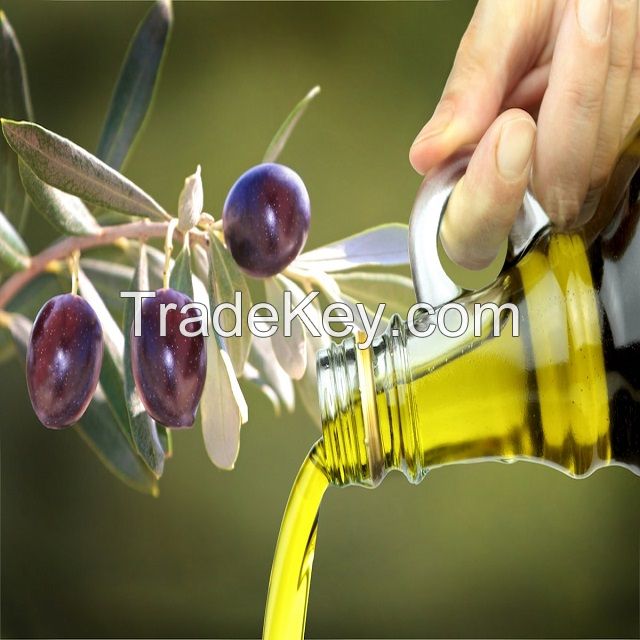 High Quality Extra Virgin Olive Oil for Wholesale