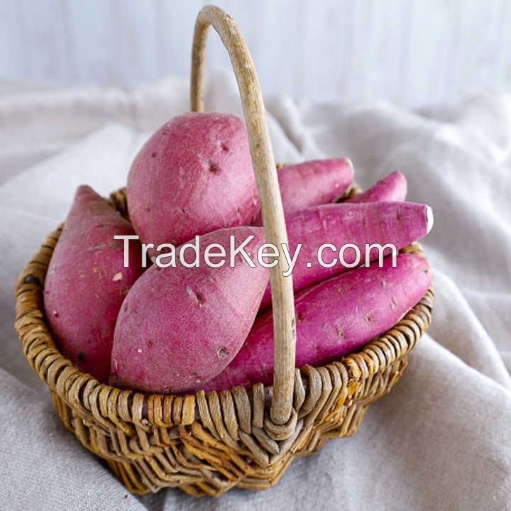 100% Natural Fresh Sweet Potatoes Exported at Cheap Prices