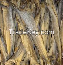 Buy Stock fish of Cod in 45Kg bales Dryfish Stockfish (Dried Cod)