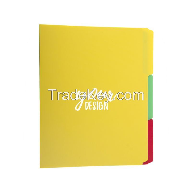 Colorful Plastic File Folder