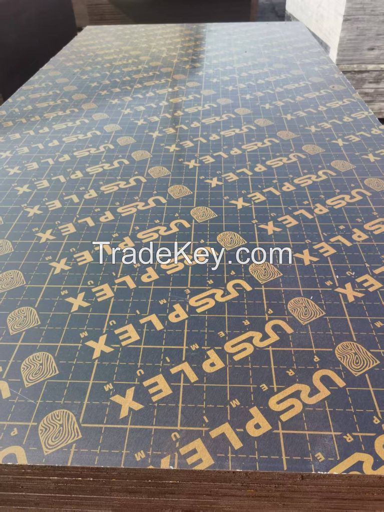 Film Faces Shuttering Plywood with Phenolic Glue, WBP Glue
