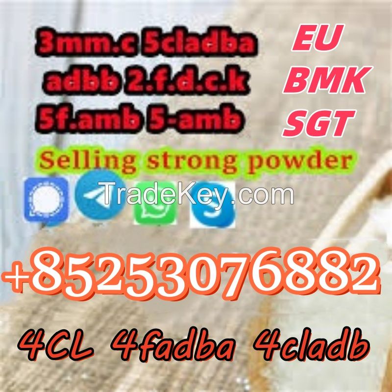 SGT-151 sgt78 4CLADB 4fadba 2cl 6cladb 6cladb 4cladb 4fadba 5CL-ADBB