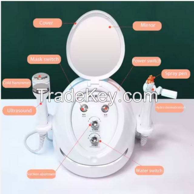  Professional 2 in 1 Spray Gun Skin Care Facial Machine Blackhead Removal Device