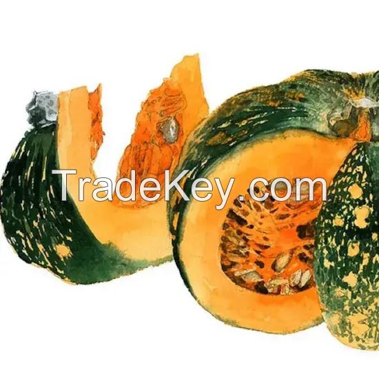 New Crop Good Quality Dehydrated Pumpkin Fakes