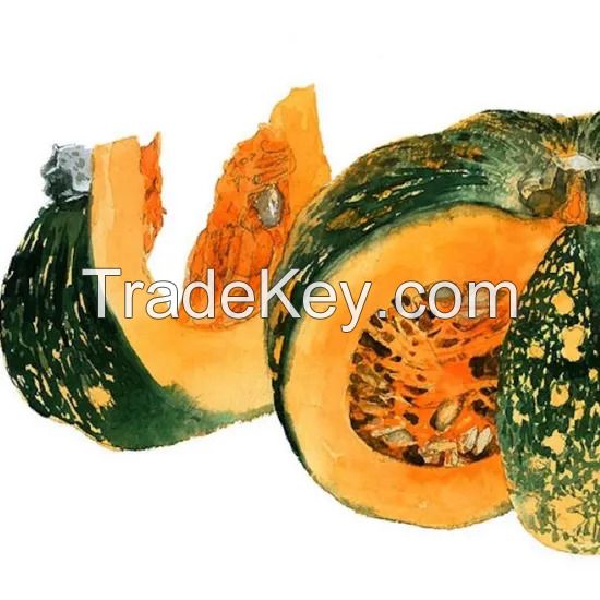 New Crop Good Quality Dehydrated Pumpkin Fakes