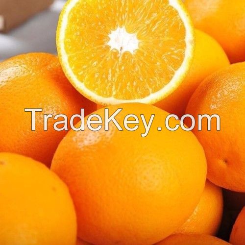 High-Quality Fresh Oranges Wholesale Supply | South African Origin