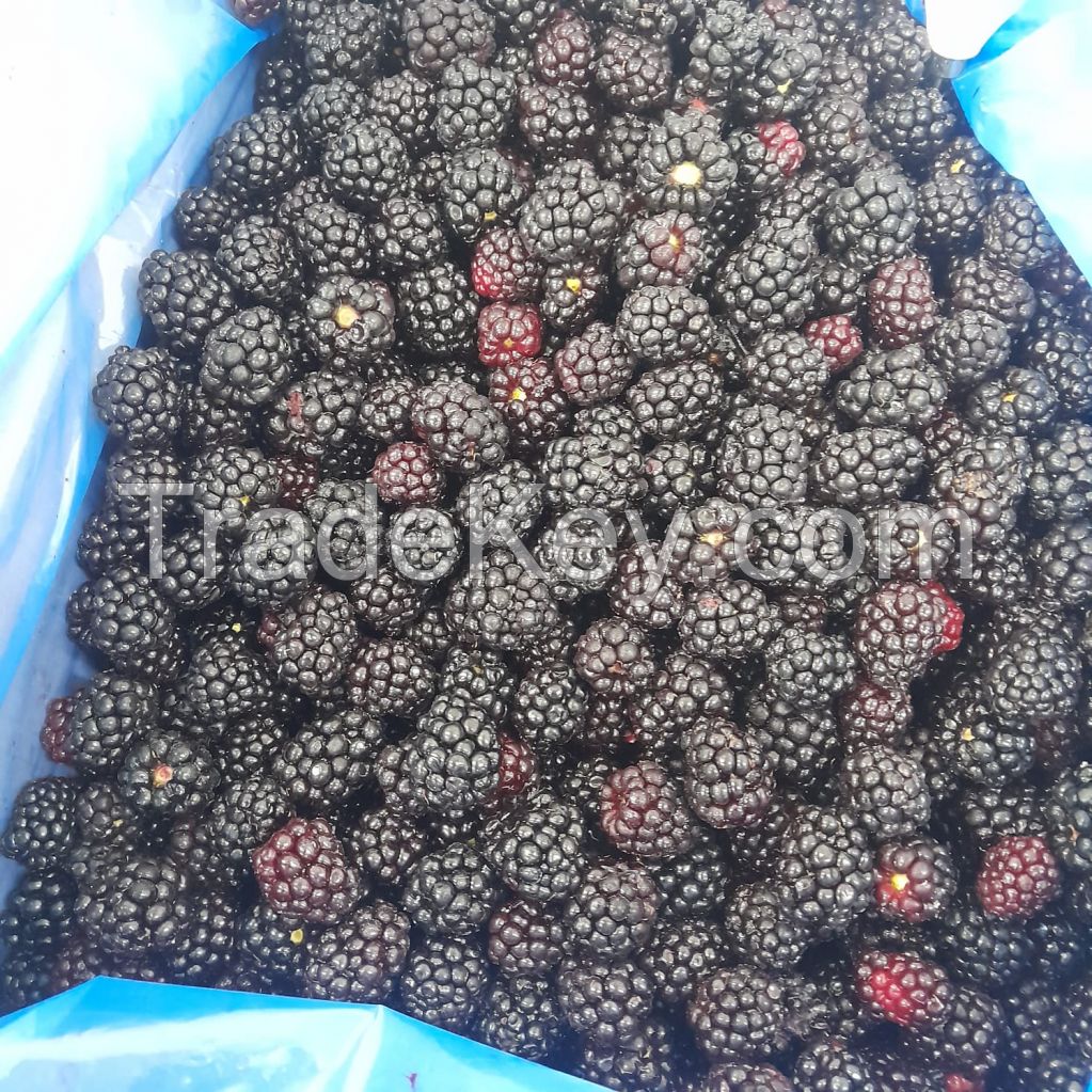 High-Quality IQF Frozen Fruits | Direct from Chile | Bulk Supply