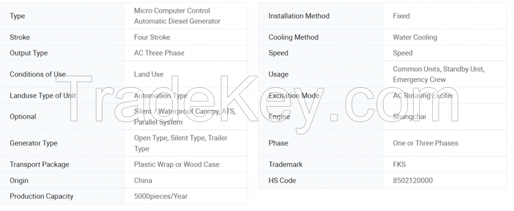 Diesel Generator Set
