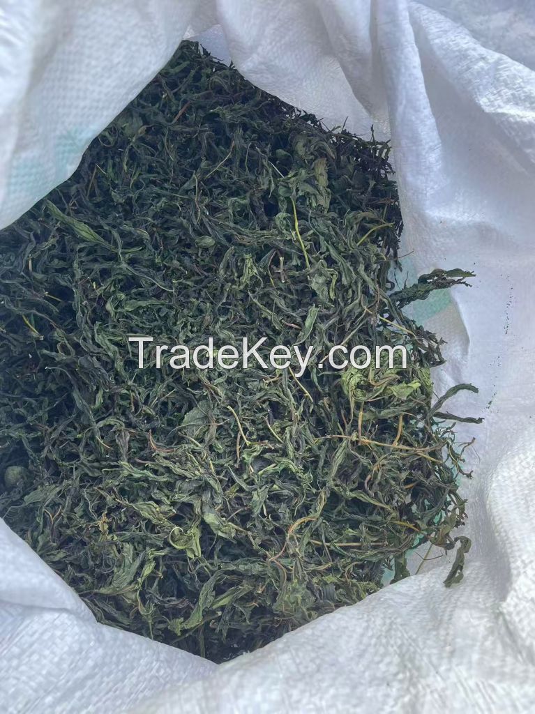 Wholesale Natural Organic Herbs Tea Pregnancy Tea Dry natural Raspberry Leaves Tea