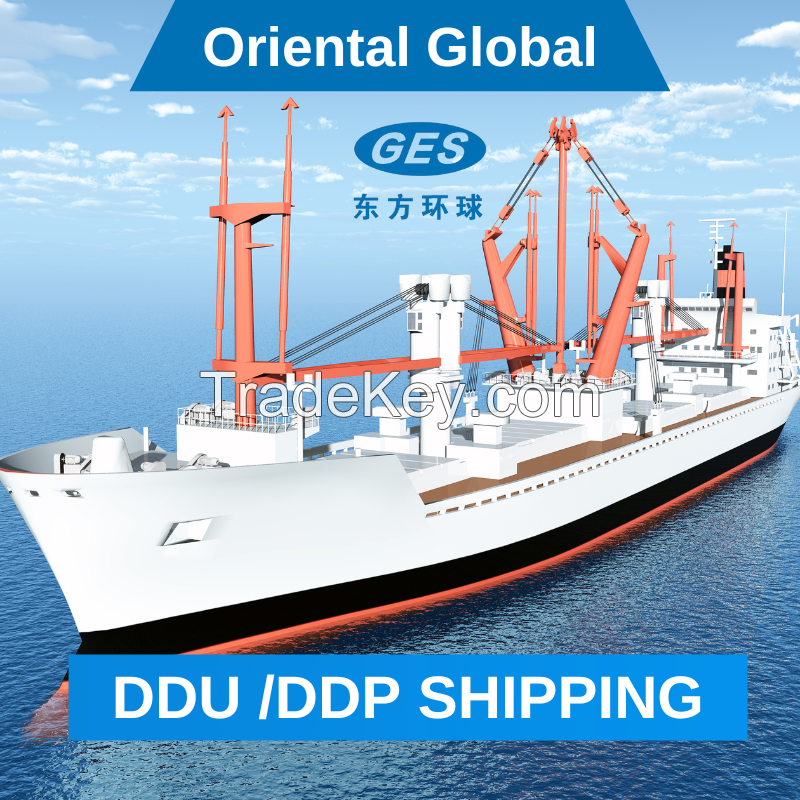 Fast Door to Door Full Container Direct Delivery Logistics Service Provider Sea Freight Agent From China to USA