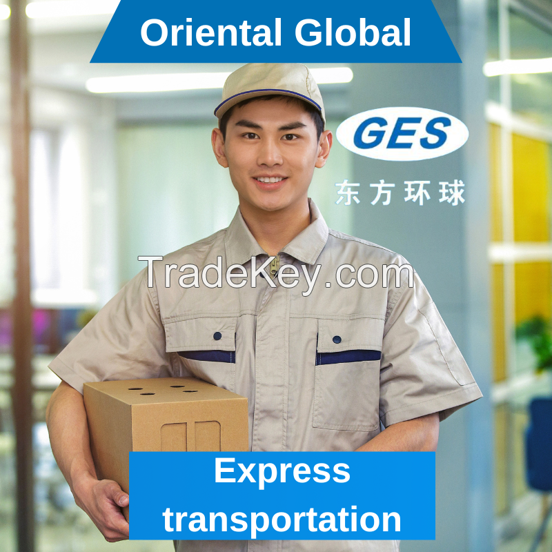 Fast Door to Door Full Container Direct Delivery Logistics Service Provider Sea Freight Agent From China to USA